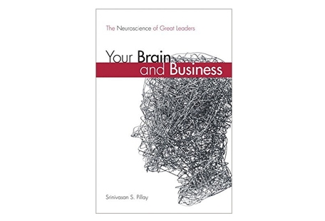 Your Brain & Business